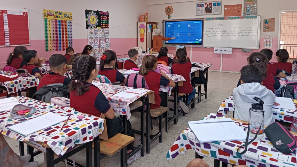 ÇEVRE, AFET, RİSK AZALTMA VE EĞİTİM (ÇARE) PROJESİ